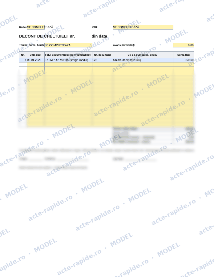 Model decont de cheltuieli în Excel: prima pagină a modelului, parțial încețoșată