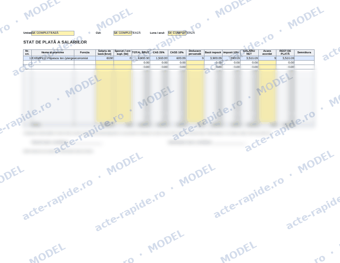 Model stat de plată salarii în Excel: prima pagină a modelului, parțial încețoșată